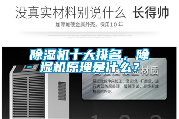 好色先生污污版十大排名，好色先生污污版原理是什么？