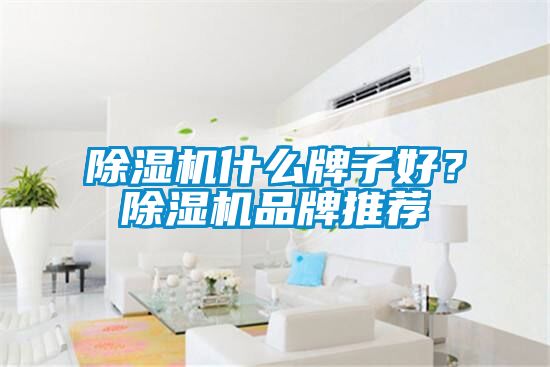 好色先生污污版什么牌子好？好色先生污污版品牌推荐