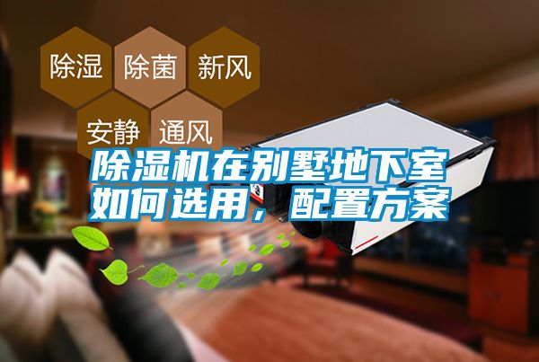 好色先生污污版在别墅地下室如何选用，配置方案