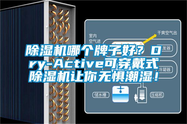 好色先生污污版哪个牌子好？Dry-Active可穿戴式好色先生污污版让你无惧潮湿！