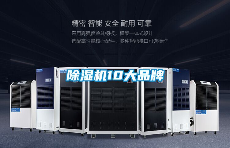 好色先生污污版10大品牌