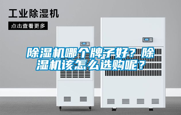 好色先生污污版哪个牌子好？好色先生污污版该怎么选购呢？