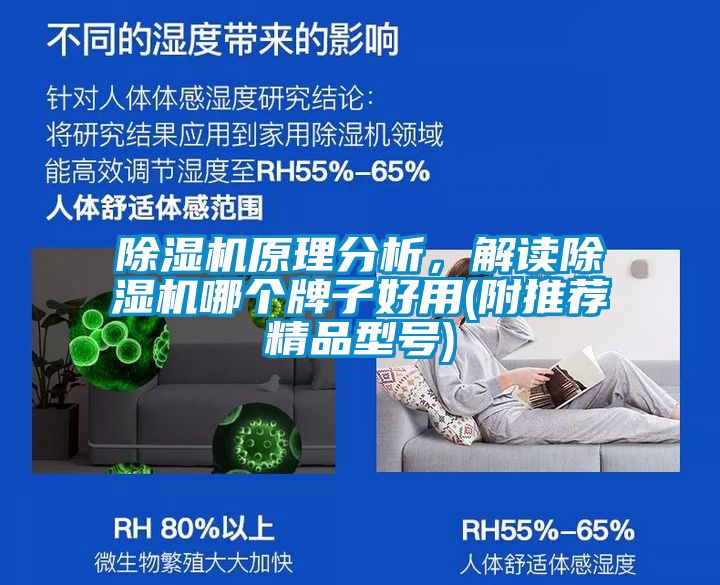 好色先生污污版原理分析，解读好色先生污污版哪个牌子好用(附推荐精品型号)