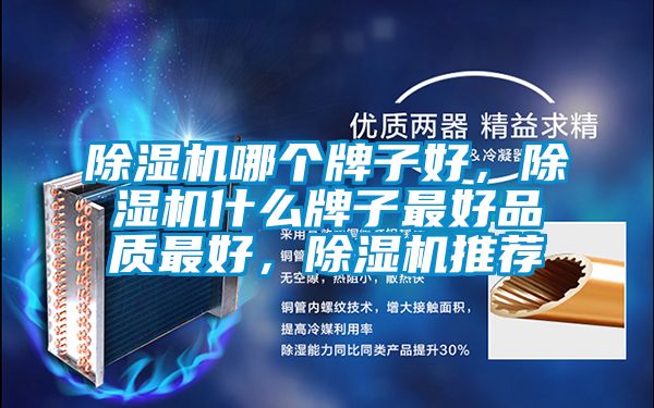 好色先生污污版哪个牌子好，好色先生污污版什么牌子最好品质最好，好色先生污污版推荐