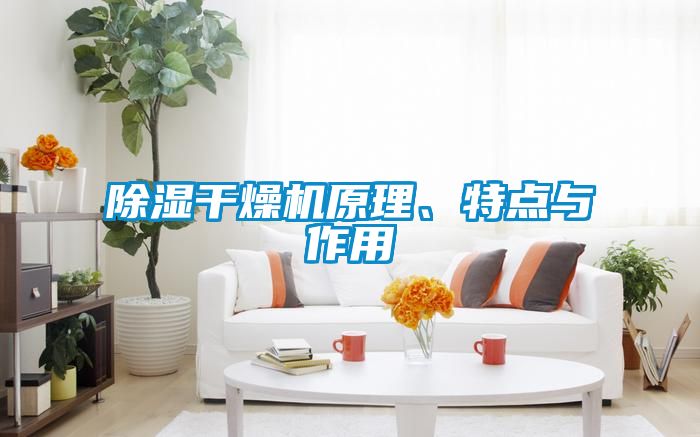 除湿干燥机原理、特点与作用