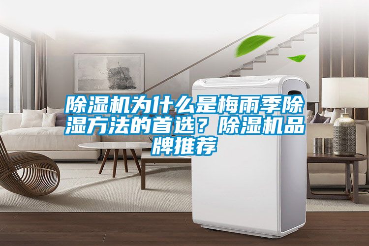 好色先生污污版为什么是梅雨季除湿方法的首选？好色先生污污版品牌推荐