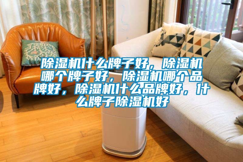 好色先生污污版什么牌子好，好色先生污污版哪个牌子好，好色先生污污版哪个品牌好，好色先生污污版什么品牌好，什么牌子好色先生污污版好