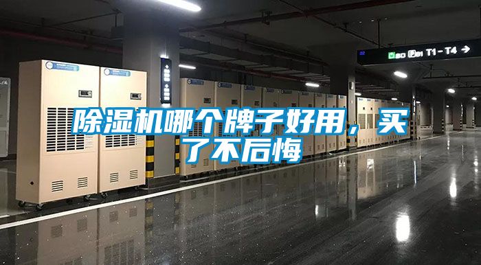 好色先生污污版哪个牌子好用，买了不后悔