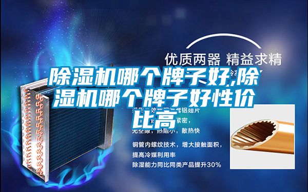 好色先生污污版哪个牌子好,好色先生污污版哪个牌子好性价比高