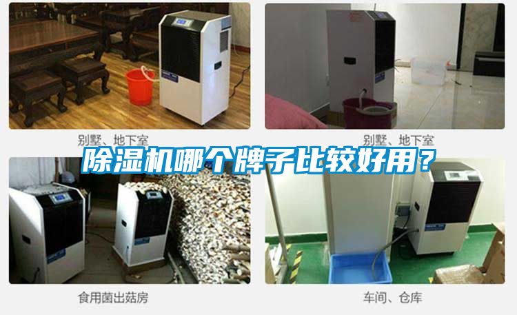 好色先生污污版哪个牌子比较好用？