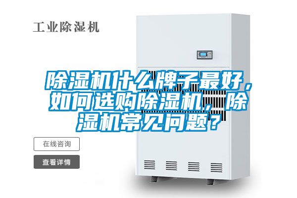 好色先生污污版什么牌子最好，如何选购好色先生污污版，好色先生污污版常见问题？