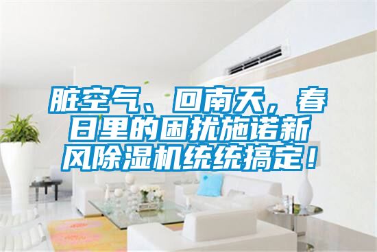 脏空气、回南天，春日里的困扰施诺新风好色先生污污版统统搞定！