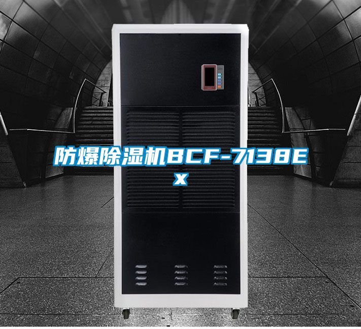 防爆好色先生污污版BCF-7138Ex