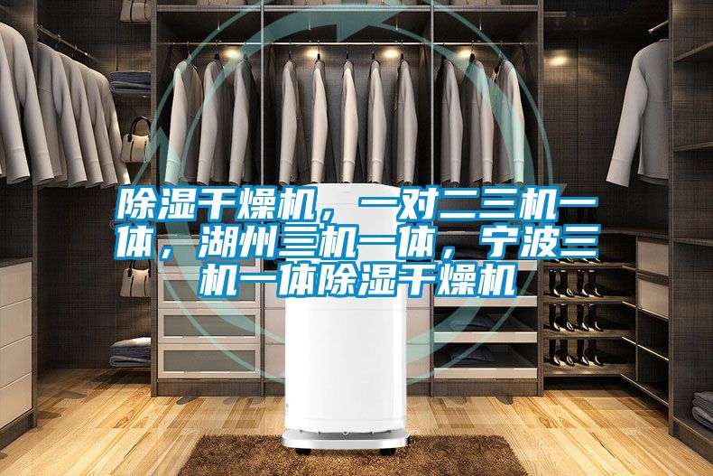 除湿干燥机，一对二三机一体，湖州三机一体，宁波三机一体除湿干燥机