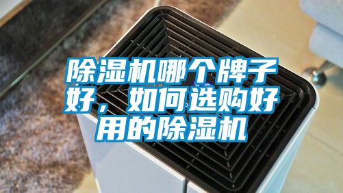 好色先生污污版哪个牌子好，如何选购好用的好色先生污污版