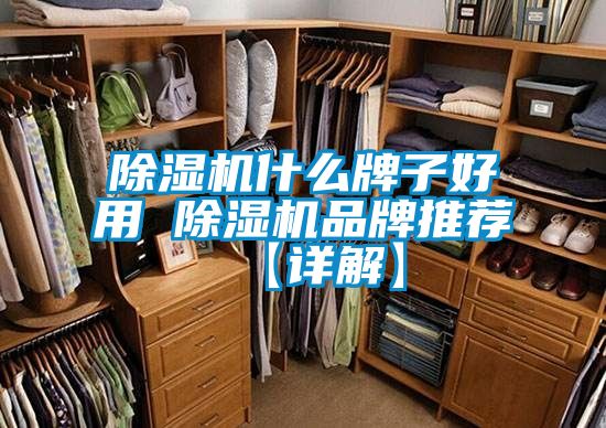 好色先生污污版什么牌子好用 好色先生污污版品牌推荐【详解】