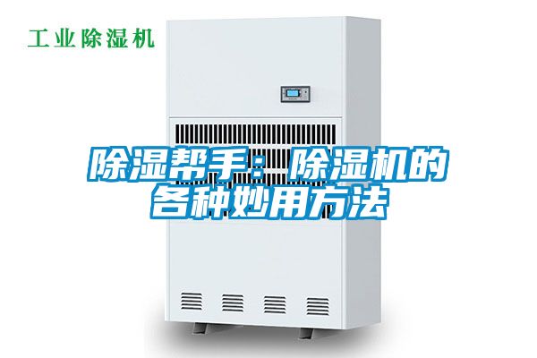 除湿帮手：好色先生污污版的各种妙用方法