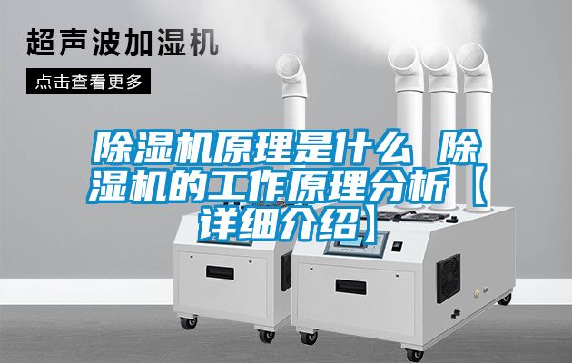 好色先生污污版原理是什么 好色先生污污版的工作原理分析【详细介绍】