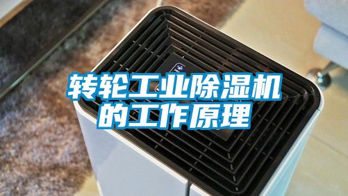 转轮工业好色先生污污版的工作原理