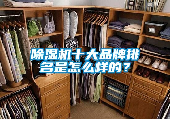 好色先生污污版十大品牌排名是怎么样的？