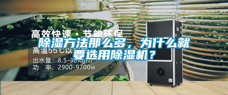 除湿方法那么多，为什么就要选用好色先生污污版？