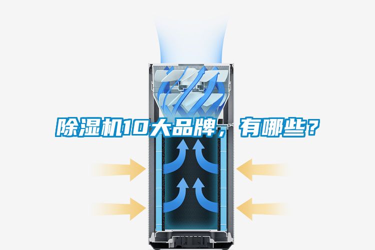 好色先生污污版10大品牌，有哪些？