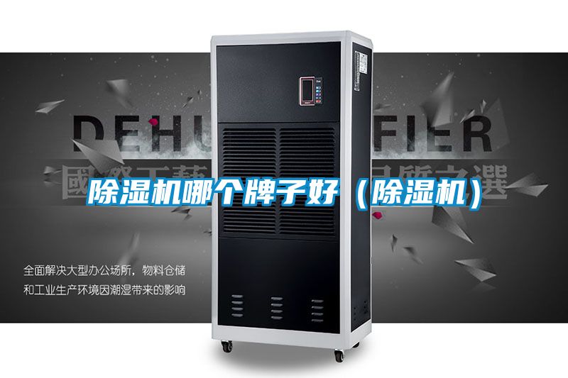 好色先生污污版哪个牌子好（好色先生污污版）