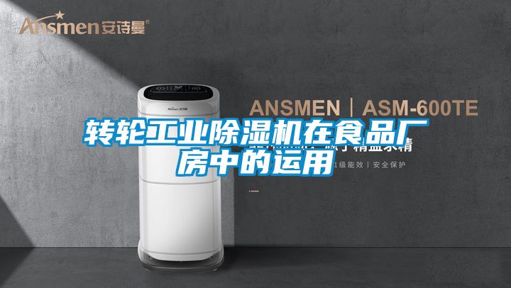 转轮工业好色先生污污版在食品厂房中的运用