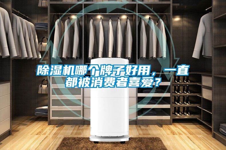 好色先生污污版哪个牌子好用，一直都被消费者喜爱？