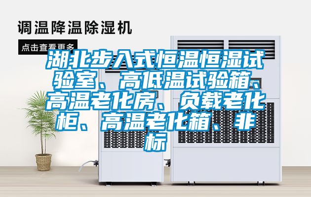 湖北步入式恒温恒湿试验室、高低温试验箱、高温老化房、负载老化柜、高温老化箱、非标