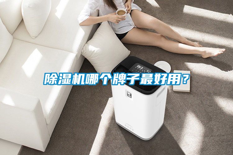 好色先生污污版哪个牌子最好用？