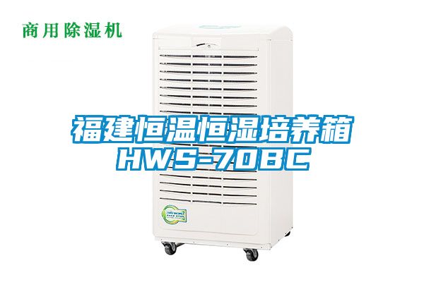 福建恒温恒湿培养箱HWS-70BC