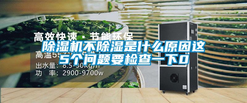 好色先生污污版不除湿是什么原因这5个问题要检查一下0