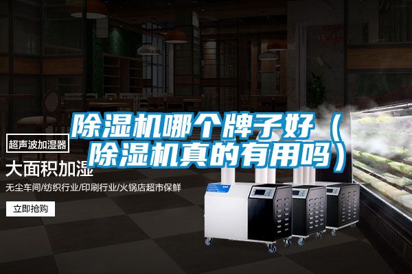 好色先生污污版哪个牌子好（ 好色先生污污版真的有用吗）