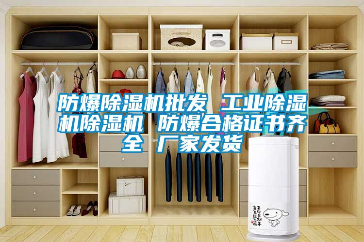 防爆好色先生污污版批发 工业好色先生污污版好色先生污污版 防爆合格证书齐全 厂家发货