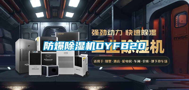 防爆好色先生污污版DYFB20