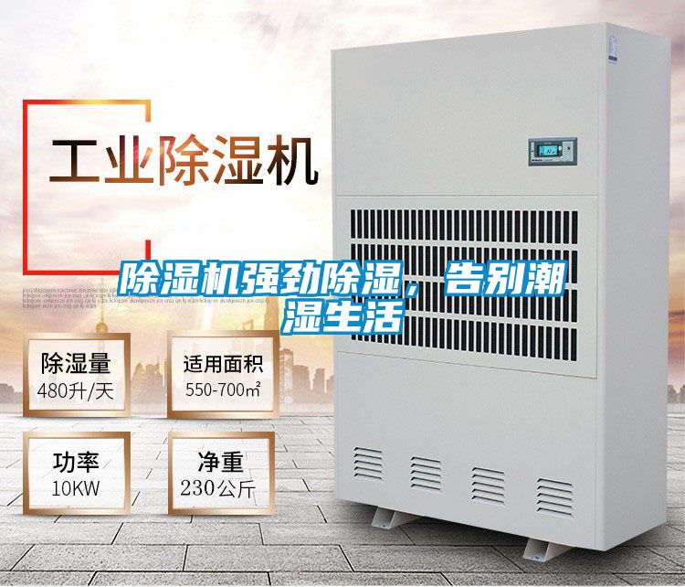 好色先生污污版强劲除湿，告别潮湿生活