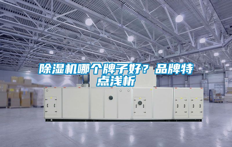 好色先生污污版哪个牌子好？品牌特点浅析