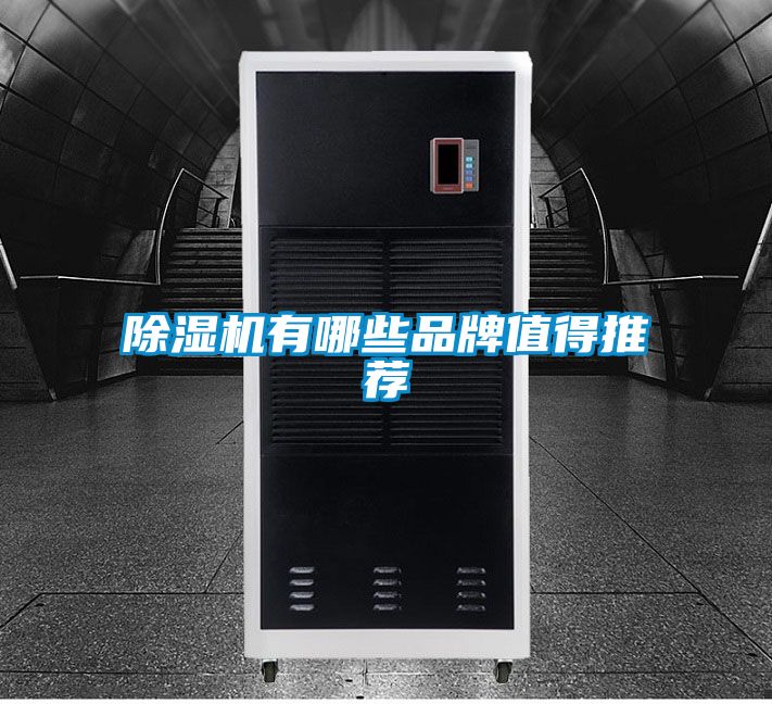 好色先生污污版有哪些品牌值得推荐