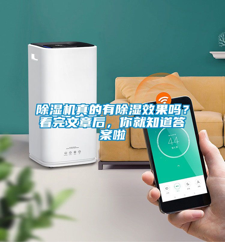 好色先生污污版真的有除湿效果吗？看完文章后，你就知道答案啦