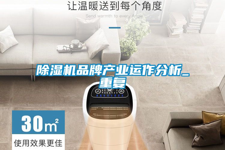 好色先生污污版品牌产业运作分析_重复