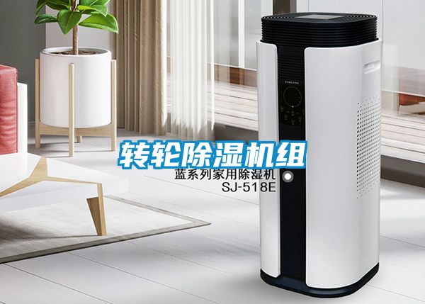 转轮好色先生污污版组