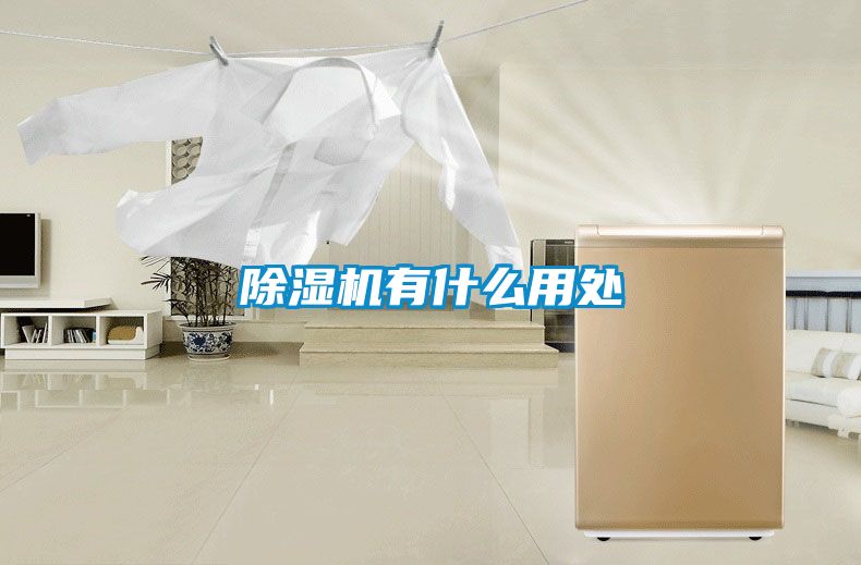 好色先生污污版有什么用处