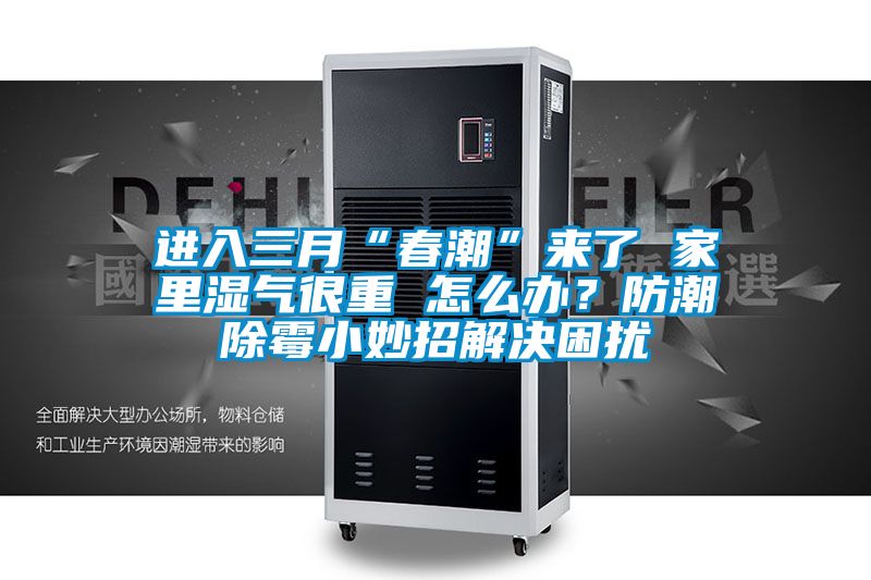进入三月“春潮”来了 家里湿气很重 怎么办？防潮除霉小妙招解决困扰