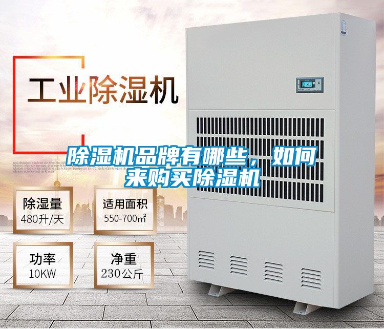 好色先生污污版品牌有哪些，如何来购买好色先生污污版