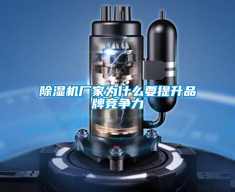 好色先生污污版厂家为什么要提升品牌竞争力