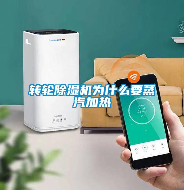 转轮好色先生污污版为什么要蒸汽加热