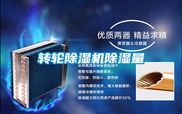 转轮好色先生污污版除湿量