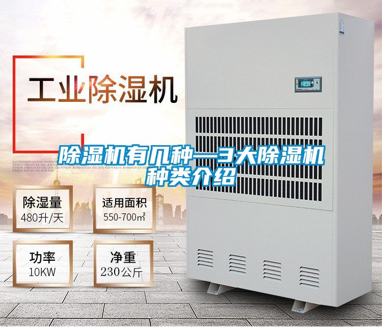 好色先生污污版有几种—3大好色先生污污版种类介绍