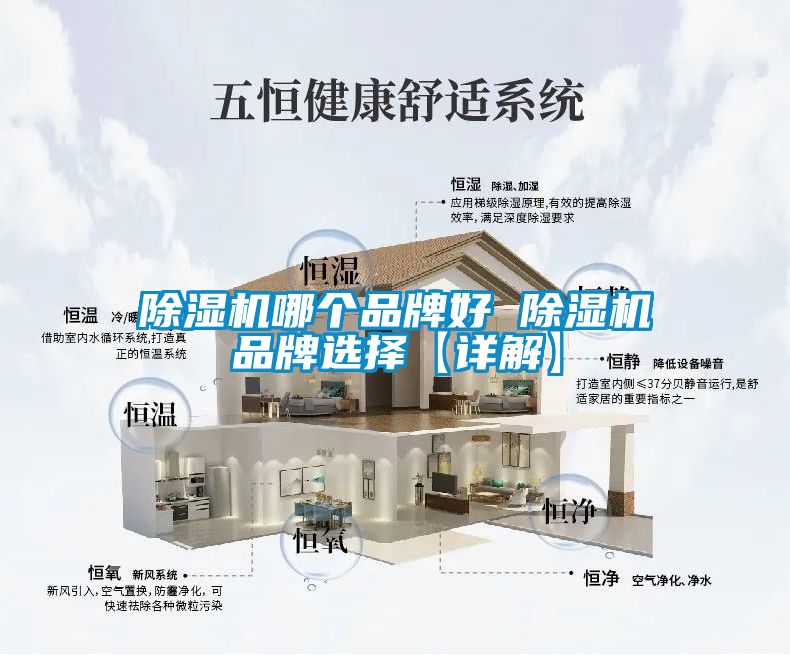 好色先生污污版哪个品牌好 好色先生污污版品牌选择【详解】